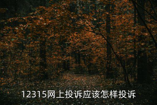 12315網(wǎng)上投訴應(yīng)該怎樣投訴