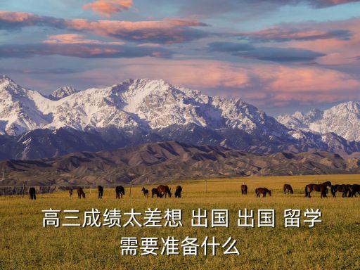  高三成績(jī)太差想 出國(guó) 出國(guó) 留學(xué)需要準(zhǔn)備什么