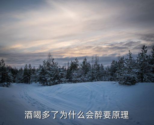 酒喝多了為什么會(huì)醉要原理