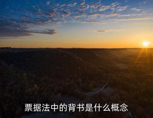 票據(jù)法中的背書是什么概念
