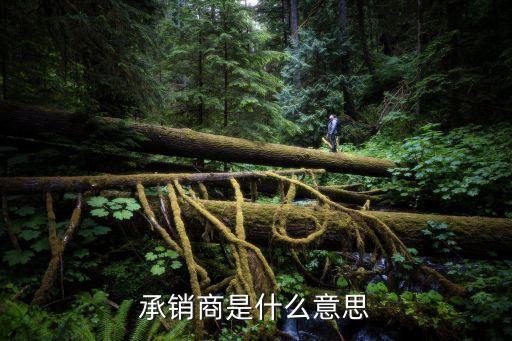 承銷，證券承銷和保薦是什么意思
