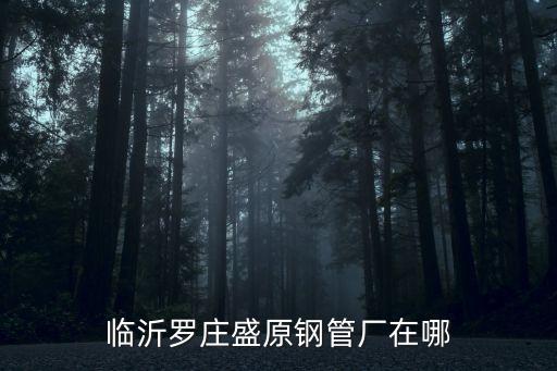 盛原，你好請問是不是平原盛原服裝廠快要倒閉啦是嗎