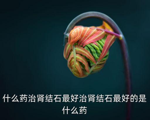 什么藥治腎結(jié)石最好治腎結(jié)石最好的是什么藥