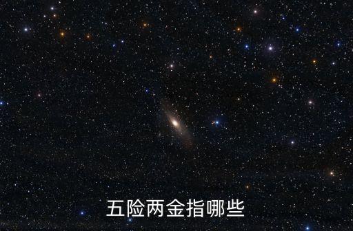 五險兩金，五險兩金指哪些