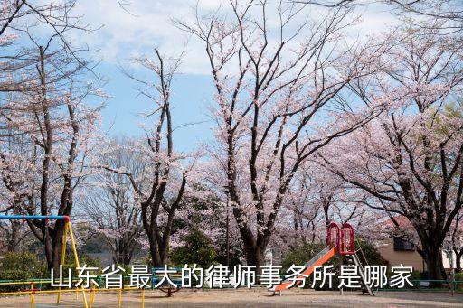 山東省最大的律師事務(wù)所是哪家