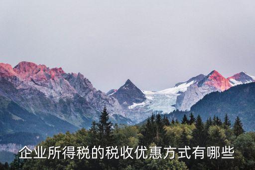 企業(yè)所得稅的稅收優(yōu)惠方式有哪些
