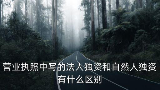 營業(yè)執(zhí)照中寫的法人獨資和自然人獨資有什么區(qū)別