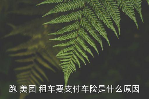 跑 美團(tuán) 租車要支付車險(xiǎn)是什么原因