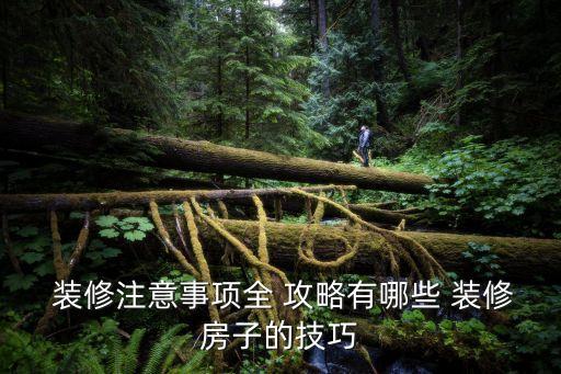 裝修攻略,進(jìn)擊的漢字豪華裝修攻略