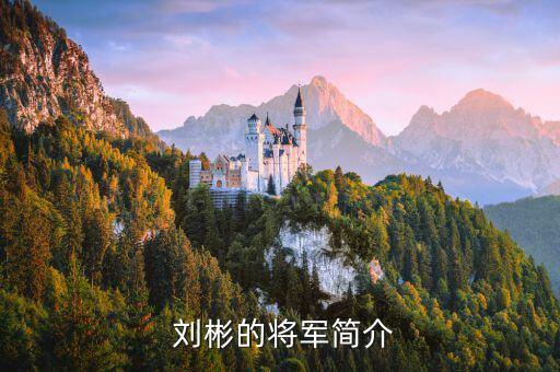  劉彬的將軍簡介
