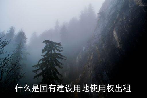 什么是國有建設用地使用權出租