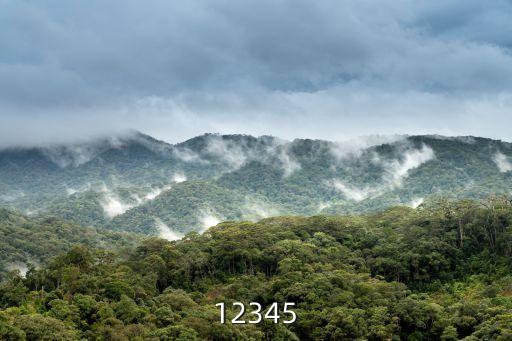12345