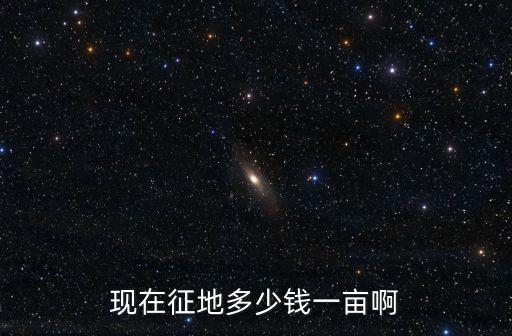 現(xiàn)在征地多少錢一畝啊