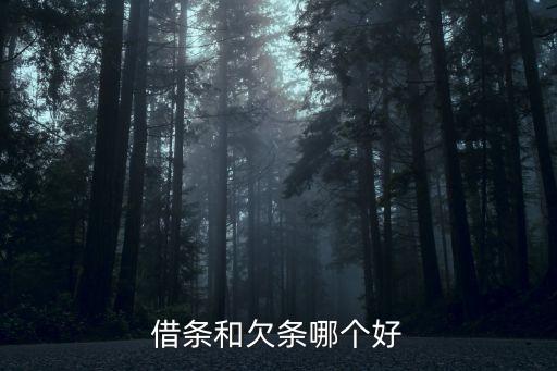 借條和欠條哪個好