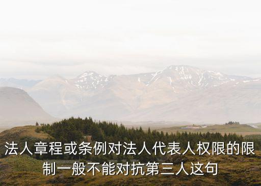 法人章程或條例對(duì)法人代表人權(quán)限的限制一般不能對(duì)抗第三人這句