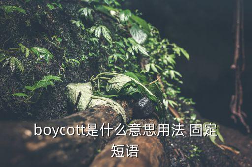 聯(lián)合抵制，boycott是什么意思用法 固定短語(yǔ)