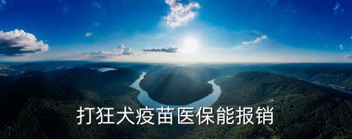 打狂犬疫苗醫(yī)保能報銷