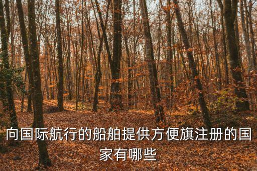 向國際航行的船舶提供方便旗注冊的國家有哪些