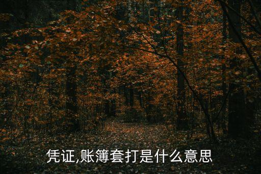 憑證,賬簿套打是什么意思