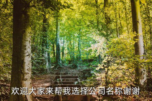 歡迎大家來(lái)幫我選擇公司名稱謝謝