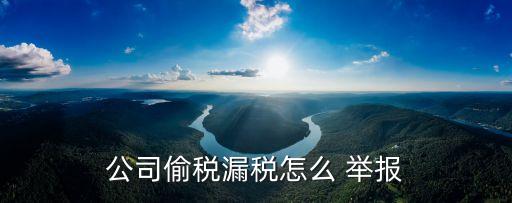 稅務(wù)舉報(bào)