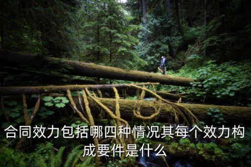 合同效力包括哪四種情況其每個效力構(gòu)成要件是什么