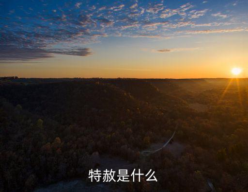 特赦是什么意思，特赦令牌是什么