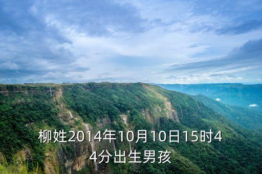 柳姓2014年10月10日15時44分出生男孩