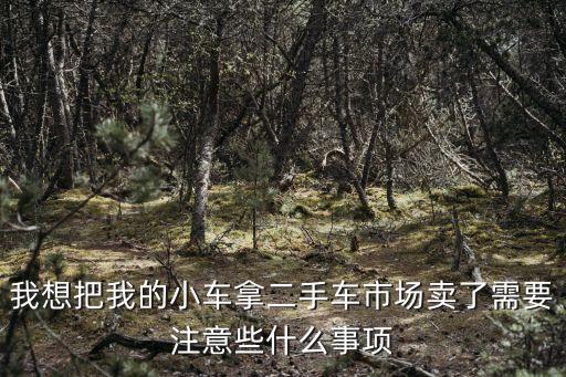 個人賣車，我想把我的小車拿二手車市場賣了需要注意些什么事項