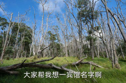 大家?guī)臀蚁胍毁e館名字啊