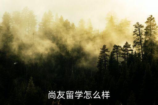 尚友，尚友留學機構怎么樣