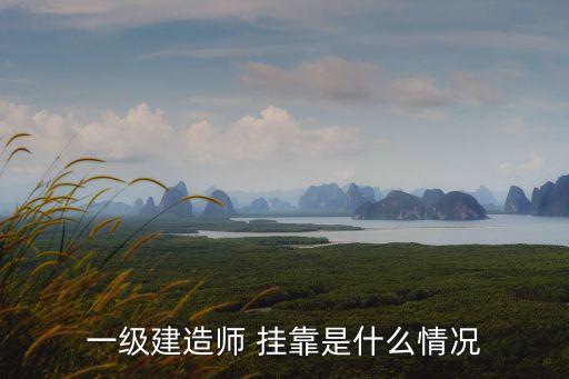掛靠什么意思