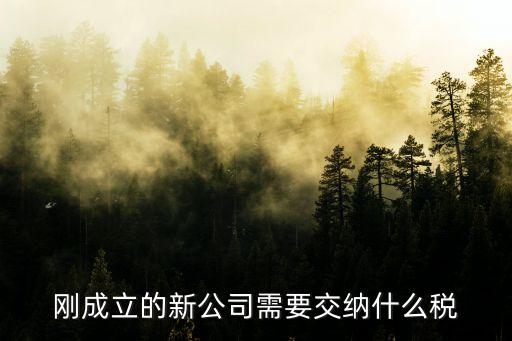 公司交稅，公司要交哪些稅