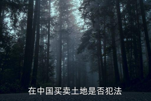 買賣土地犯法嗎，在中國買賣土地是否犯法