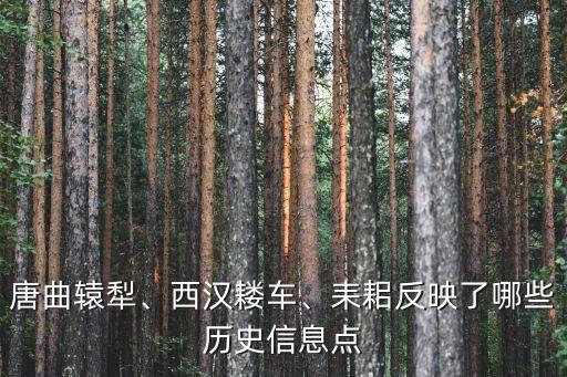 楊光大