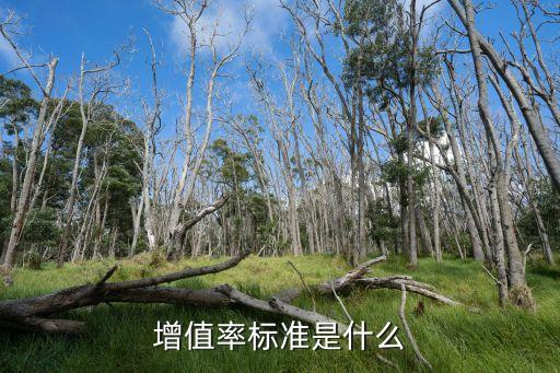 增值率標(biāo)準(zhǔn)是什么