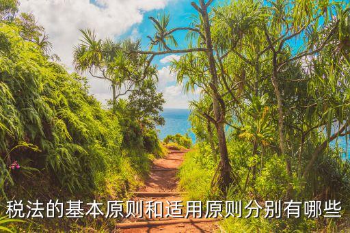 稅收法定