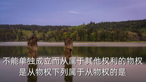不能單獨(dú)成立而從屬于其他權(quán)利的物權(quán)是從物權(quán)下列屬于從物權(quán)的是