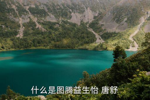 唐舒