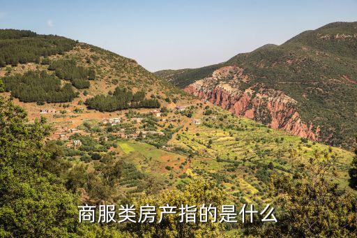商服類房產(chǎn)指的是什么