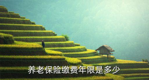 社會(huì)保險(xiǎn)法實(shí)施細(xì)則,2023社會(huì)保險(xiǎn)法實(shí)施細(xì)則