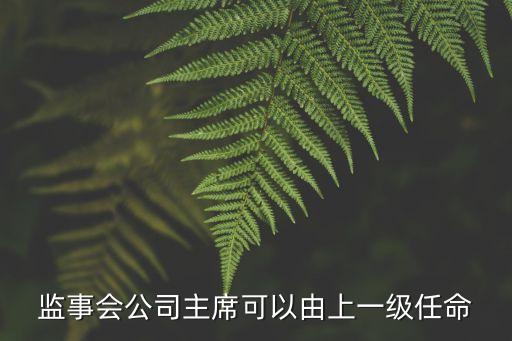 監(jiān)事會主席，監(jiān)事會公司主席可以由上一級任命