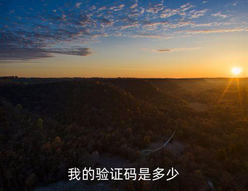 我的驗(yàn)證碼是多少