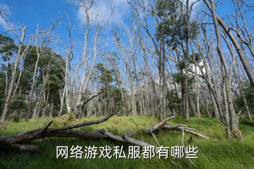 網(wǎng)絡(luò)游戲私服都有哪些