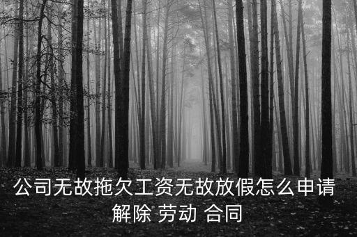 公司無故拖欠工資無故放假怎么申請 解除 勞動 合同