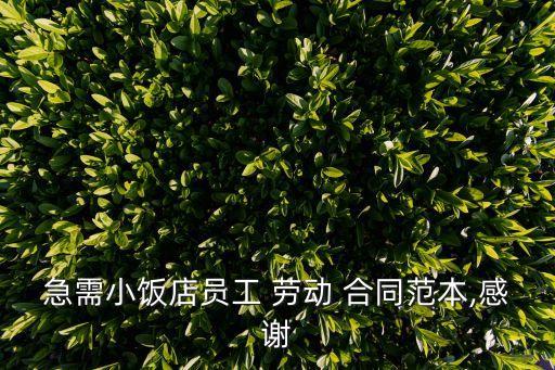 急需小飯店員工 勞動(dòng) 合同范本,感謝