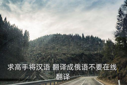 求高手將漢語(yǔ) 翻譯成俄語(yǔ)不要在線 翻譯