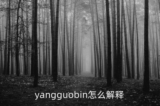 楊國(guó)彬，yangguobin怎么解釋