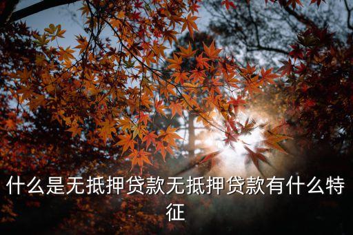 什么是無抵押貸款無抵押貸款有什么特征