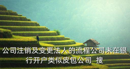 公司注銷及變更法人的流程公司未在銀行開戶類似皮包公司  搜